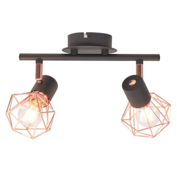 Provira Plafondlamp met 2 spotlights E14 zwart en koper