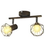 Provira Plafondlamp met 2 LED's industriële stijl zwart