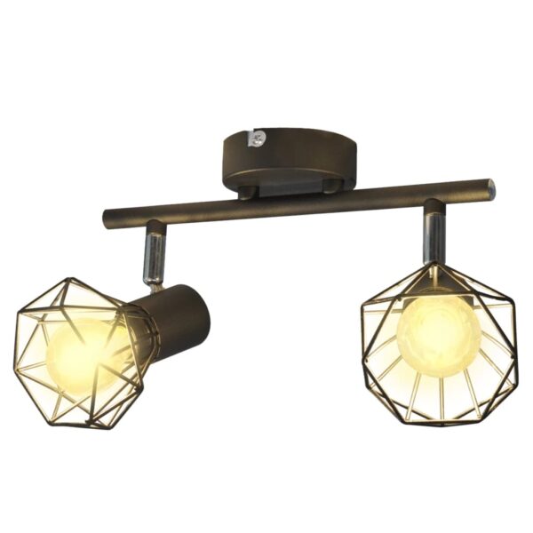 Provira Plafondlamp met 2 LED's industriële stijl zwart