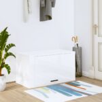 Provira Schoenenkast wandgemonteerd 70x35x38 cm bewerkt hout wit