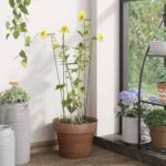 Provira Plantenstaken 20 st 61 cm staal donkergroen