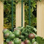 Provira Plantenstaken 30 st 115 cm staal groen