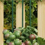 Provira Plantenstaken 30 st 180 cm staal groen