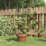 Provira Plantensteunen 5 st met 3 ringen 60 cm staal groen