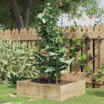 Provira Plantensteunen 5 st met 3 ringen 75 cm staal groen