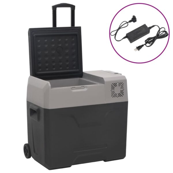 Provira Koelbox met wielen en adapter 50 L polypropeen zwart en grijs