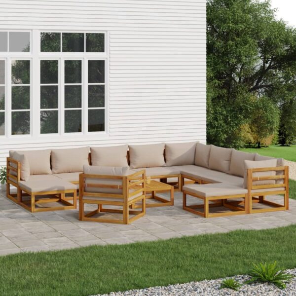 Provira 12-delige Loungeset met kussens massief hout taupe