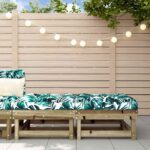 Provira Tuinvoetenbanken met kussens 2 st geïmpregneerd grenenhout