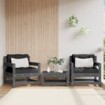 Provira Tuinstoelen 2 st massief grenenhout grijs