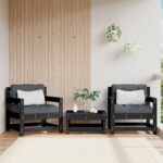 Provira Tuinstoelen 2 st massief grenenhout zwart