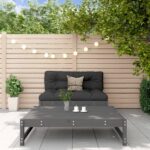 Provira 2-delige Loungeset massief grenenhout grijs
