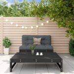 Provira 2-delige Loungeset massief grenenhout zwart