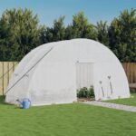 Provira Tuinkas met stalen frame 12 m² 6x2x2,85 m