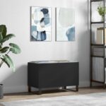 Provira Platenkast 74,5x38x48 cm bewerkt hout zwart