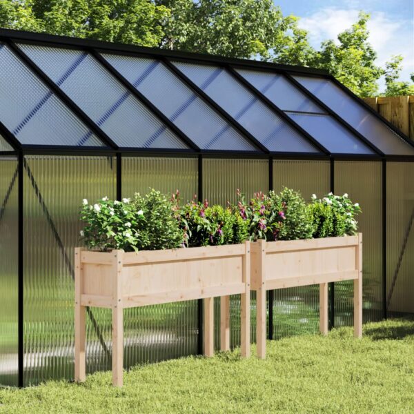 Provira Plantenbakken met poten 2 st massief grenenhout