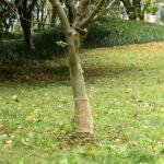 Provira Jute rol 200 g/m² 0,25x10 m 100% jute