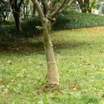 Provira Jute rol 200 g/m² 0,25x25 m 100% jute