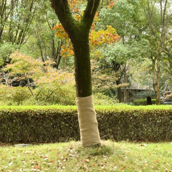 Provira Jute rol 200 g/m² 1x5 m 100% jute