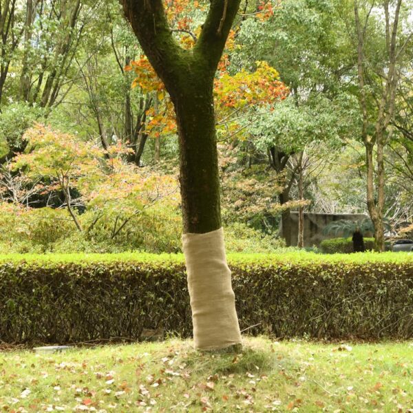Provira Jute rol 200 g/m² 1x25 m 100% jute