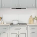 Provira Spatschermen keuken 2 st 70x40 cm gehard glas transparant
