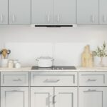 Provira Spatschermen keuken 2 st 80x50 cm gehard glas transparant